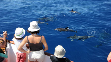 La Gomera cierra una temporada de invierno histórica con más gasto turístico y el 95% de ocupación