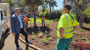 La Laguna revitaliza el parque de Los Dragos con nuevas especies canarias y mejora del suelo