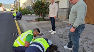 La Laguna continúa mejorando su alumbrado público con actuaciones en 25 kilómetros de líneas eléctricas