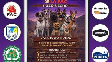 Antigua se confirma como sede de la Exposición Monográfica Nacional Canina