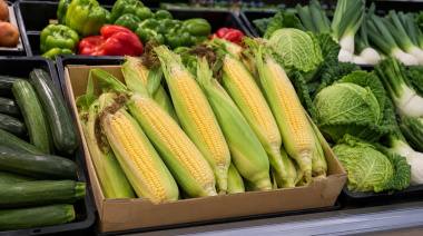 Las piñas de millo, el producto agrícola que más ha subido su precio en origen durante el último año en Canarias