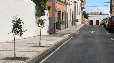 Parques y Jardines de Telde recupera los históricos naranjos del casco de San Juan
