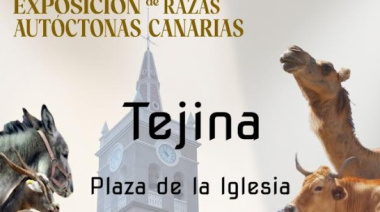 Tejina ofrece este domingo una amplia muestra de razas autóctonas canarias