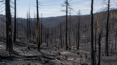 El Gobierno de España adelanta al 1 de junio el comienzo de la campaña estatal contra los incendios forestales