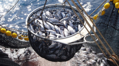 Canarias, tercera comunidad donde no se descarta comprar atún pescado en condiciones laborales precarias