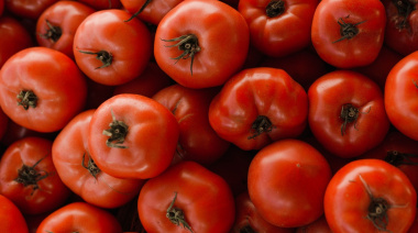 Los tomates, el producto agrícola que más ha subido su precio en origen durante el último año en Canarias