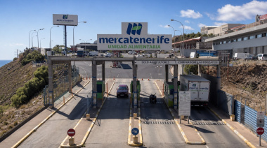 El Cabildo estudia con Mercatenerife la creación de un plan de contingencia ante posibles emergencias