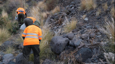 El Cabildo de La Gomera supera los dos millones de inversión en actuaciones para el control de especies exóticas