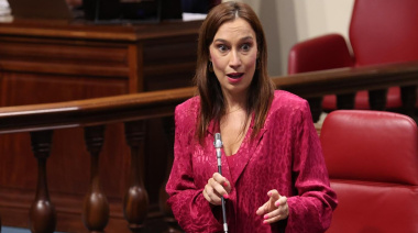 Fierro: “La igualdad de oportunidades en las aulas no puede depender de la desidia de este Gobierno”