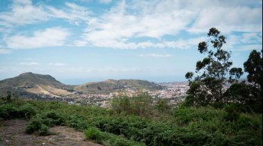 La Laguna activa una campaña municipal para promover el desbroce y la limpieza de terrenos ante el aumento de temperaturas y riesgo de incendios