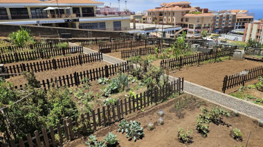 La Orotava abre el plazo para solicitar un huerto ecológico urbano municipal