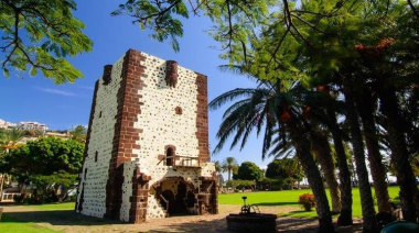 La Gomera acogerá las III Jornadas Técnicas Internacionales de Vitivinicultura Sostenible