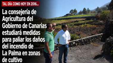 Sucedió tal día como hoy en 2016: La consejería de Agricultura del Gobierno de Canarias estudiará medidas para paliar los daños del incendio de La Palma en zonas de cultivo