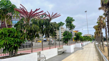 Parques y Jardines renueva los maceteros del Paseo de las Alcaravaneras para convertirlos en mini jardines