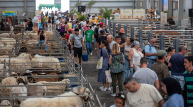 El Cabildo de Fuerteventura abre esta semana el plazo para solicitar las ayudas dirigidas al sector primario