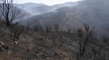 Incendios forestales: ¿Cómo prevenirlos y actuar ante ellos?