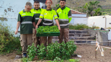 El Cabildo de Tenerife impulsa la empleabilidad juvenil y la agricultura sostenible a través del programa “Segunda Oportunidad”