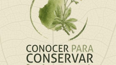 El Cabildo de Gran Canaria acerca a la ciudadanía la flora amenazada de Gran Canaria con 'Conocer para Conservar'