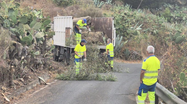 La Fase VI del Plan de Higiene Urbana de Las Palmas de Gran Canaria supera los 20.000 kilos de residuos retirados tras sus primeros tres meses