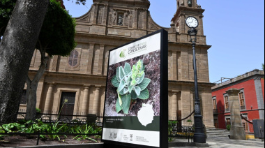 La campaña ‘Conocer para Conservar’ llega a Gáldar para divulgar el valor de la flora amenazada de Gran Canaria