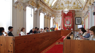 El Pleno de Las Palmas de Gran Canaria transforma el Consorcio Museo Néstor en Fundación Pública Municipal