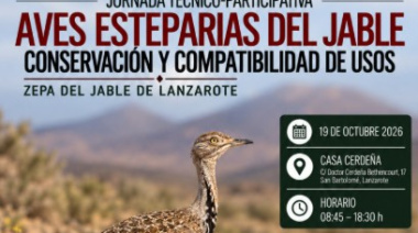 El Cabildo de Lanzarote y La Graciosa reúne a expertos y sectores del Jable para abordar la conservación de las aves esteparias