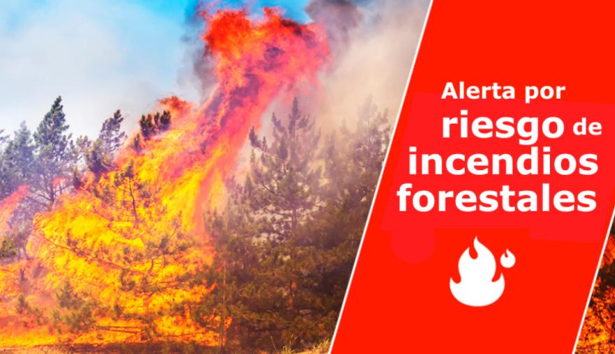 El Gobierno de Canarias actualiza la situación y mantiene la alerta por riesgo de incendios forestales