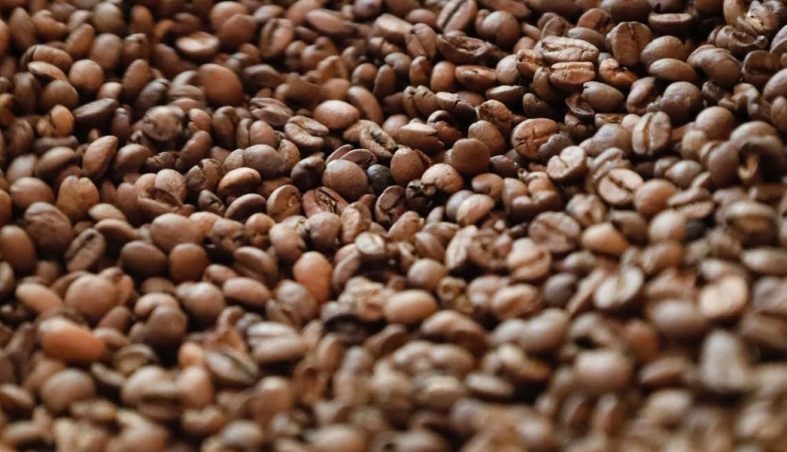 Agaete convoca una jornada técnica informativa agrícola centrada en el sector del café