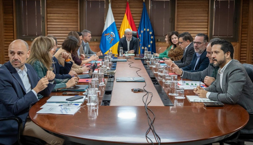 El Gobierno de Canarias nombra a Pino de León como nueva directora del Instituto Canario de la Vivienda