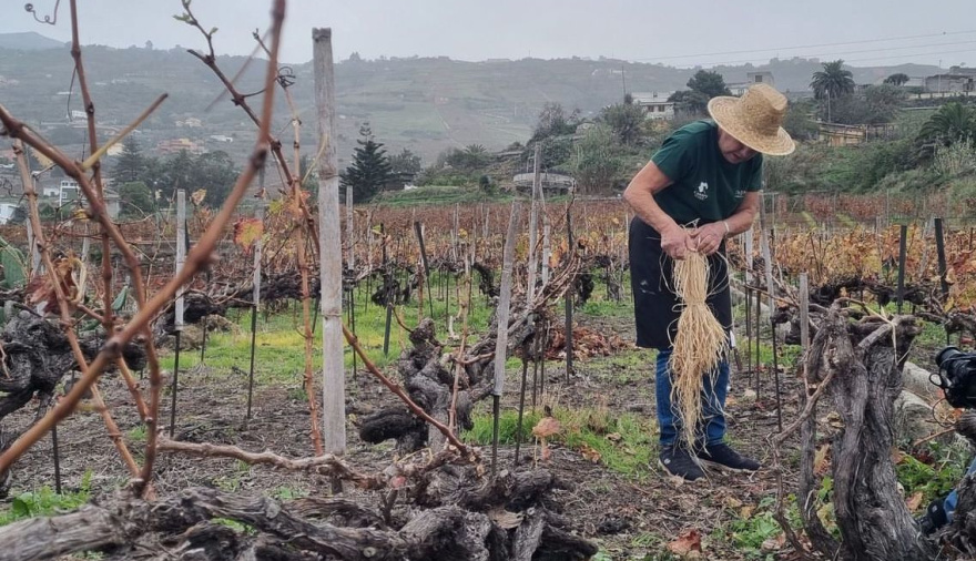 El cordón trenzado del Valle de La Orotava protagoniza un congreso Internacional de la ULL