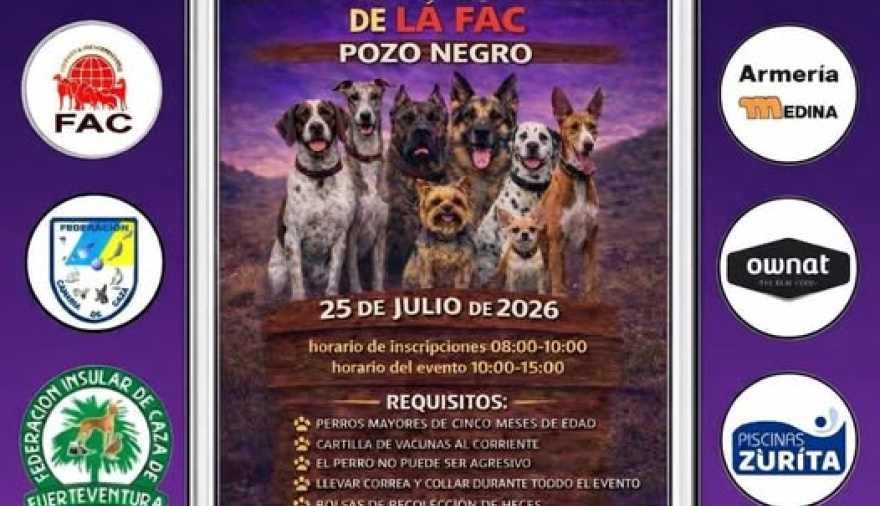 Antigua se confirma como sede de la Exposición Monográfica Nacional Canina