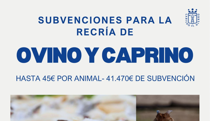 El Cabildo de El Hierro fomenta la calidad del sector ganadero insular con ayudas a la recría de ganado ovino y caprino