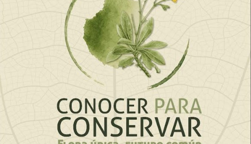 El Cabildo de Gran Canaria acerca a la ciudadanía la flora amenazada de Gran Canaria con 'Conocer para Conservar'