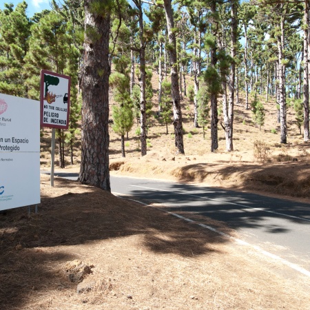 El área de Medio Ambiente del Cabildo de El Hierro impulsa obras de mejora de la red insular de las pistas forestales