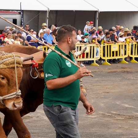 La Feria de Ganado Selecto de Gran Canaria se celebrará el 24 y 25 de mayo