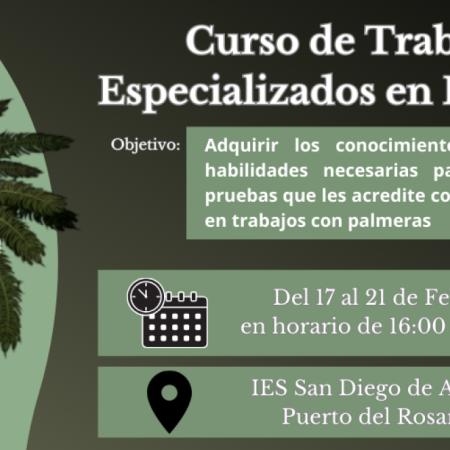 El Cabildo de Fuerteventura ofrece un curso especializado en poda de palmeras