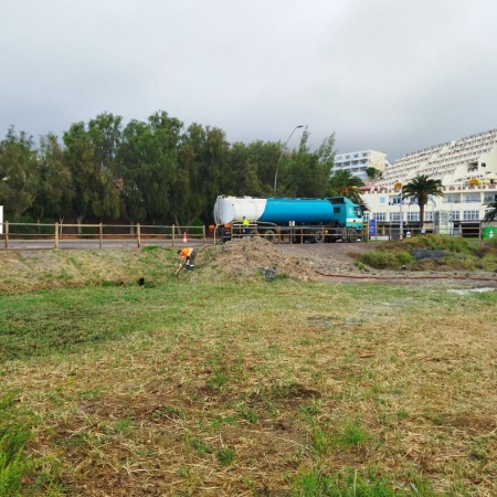 Fuerteventura inicia la prueba piloto para controlar, mediante asfixia por agua salada, la proliferación de carrizo en el Saladar de Jandía