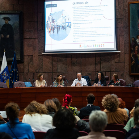 El Cabildo de La Gomera inicia una ronda de reuniones con el sector empresarial para abordar la próxima edición del Bono Consumo