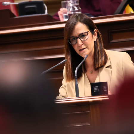 Natalia Santana acusa al Gobierno de Clavijo de desmantelar el sistema de atención a la dependencia