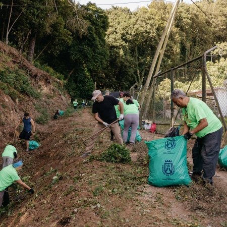 El Cabildo de Tenerife refuerza la lucha contra las especies exóticas invasoras en los espacios naturales protegidos