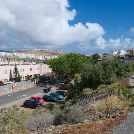 El Ayuntamiento de Las Palmas de Gran Canaria renaturalizará 20.000 metros cuadrados del barrio de Hoya Andrea a través del Corredor Verde Tamaraceite-Ciudad Alta