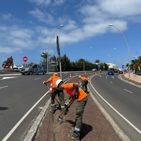 El Cabildo de Fuerteventura acondiciona 1.720 metros cuadrados de mediana en Morro Jable