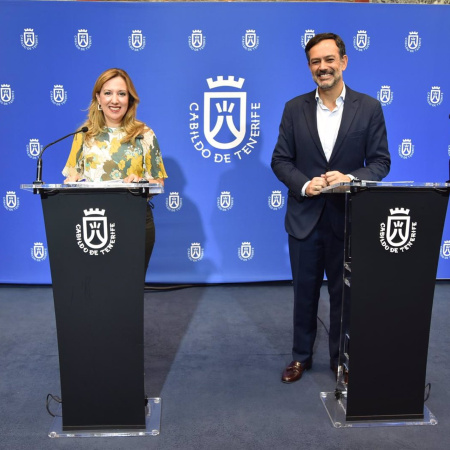 Tenerife exige al Estado soluciones ante la "inaceptable" situación del Aeropuerto Sur con el control de pasaportes