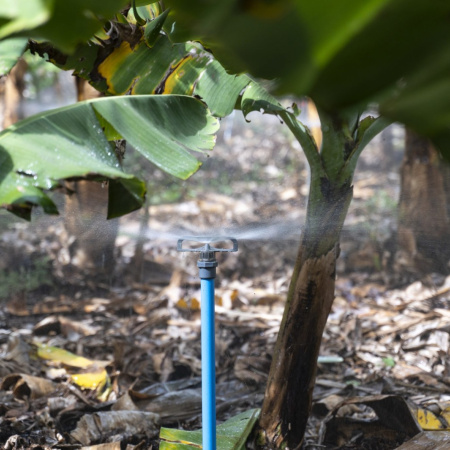 El Gobierno de Canarias y el Cabildo de Tenerife organizan una jornada de gestión de agua de riego