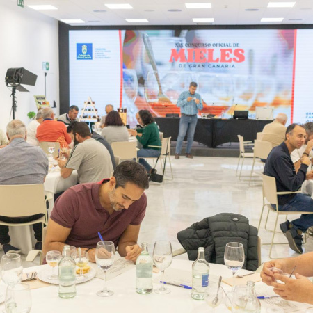 El Cabildo de Gran Canaria aprueba suscribir un convenio con la ULPGC para reforzar la conservación y mejora de la abeja negra canaria