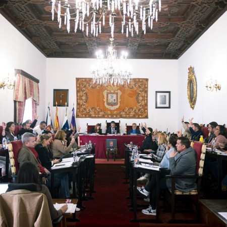 El grupo de Gobierno presenta una moción para mejorar e instalar pasarelas peatonales de La Laguna