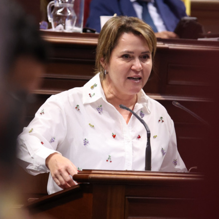 El PSOE exige la comparecencia del consejero de Transición Ecológica para explicar la gestión en el cero energético de La Palma y reclama una “respuesta eficaz” a los apagones