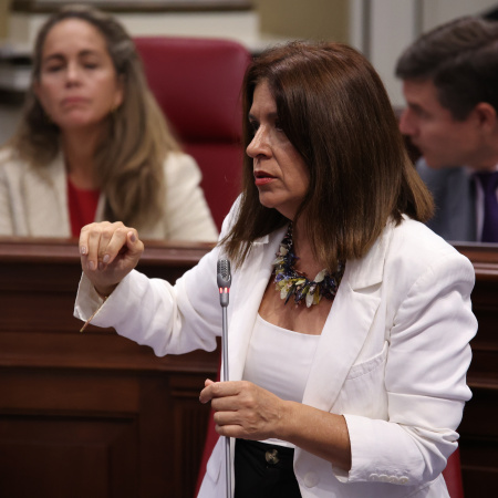 Carmen Hernández defiende la protección del profesorado interino canario en el Parlamento