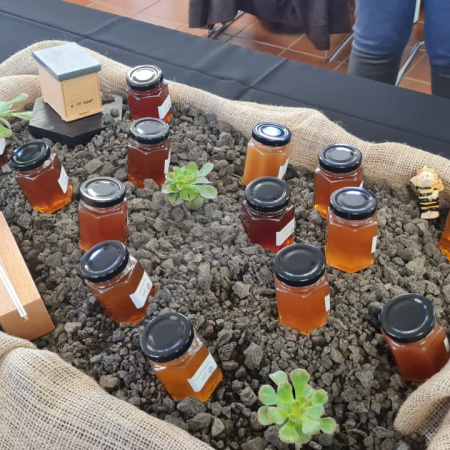 El Cabildo colabora con APITEN en la organización de la Feria de la Miel de Tenerife