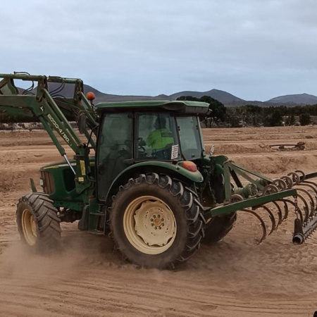 El Cabildo de Fuerteventura ayuda a cuidar los paisajes identitarios de Fuerteventura